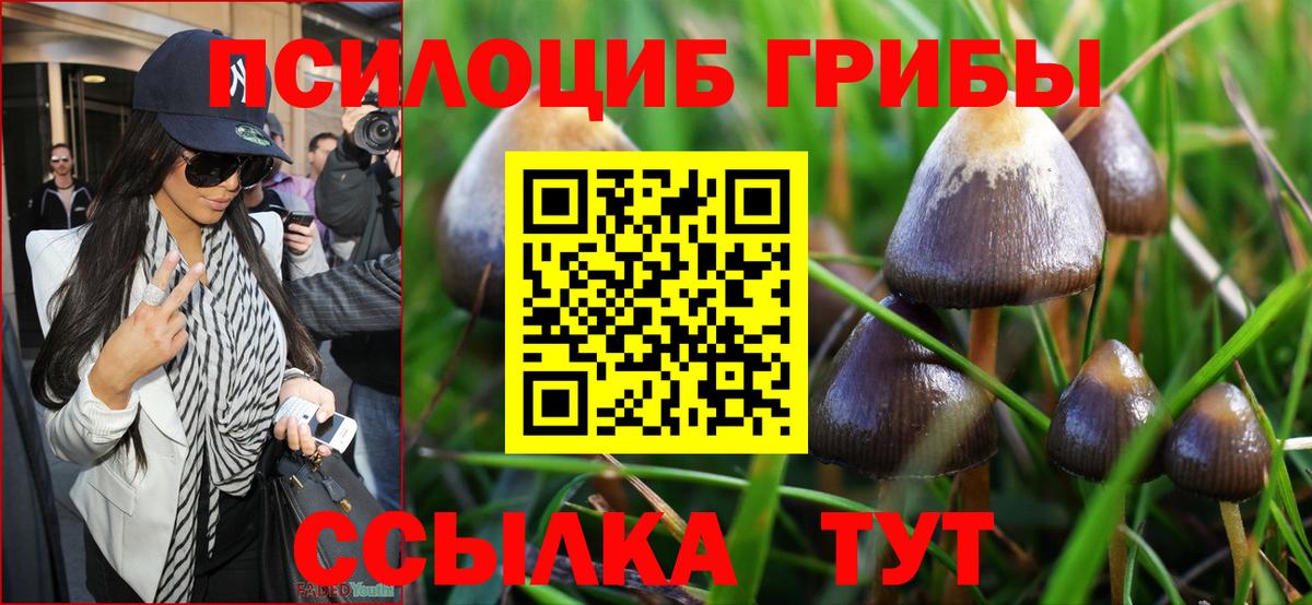 Галлюциногенные грибы Cubensis Мелеуз