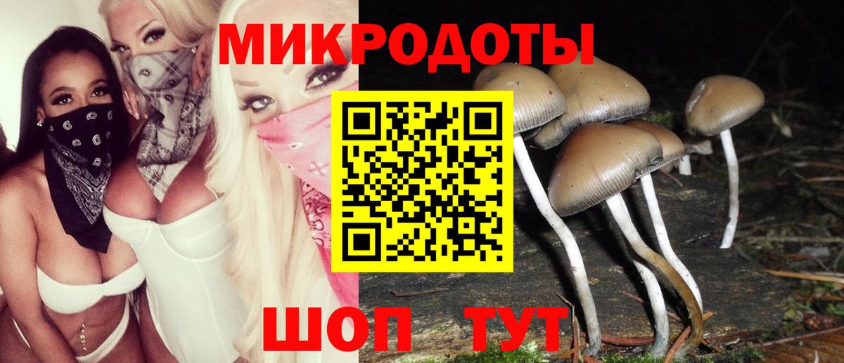 Галлюциногенные грибы мухоморы  Псилоцибиновые грибы Magic Shrooms  Вход с VPN  Мелеуз 
